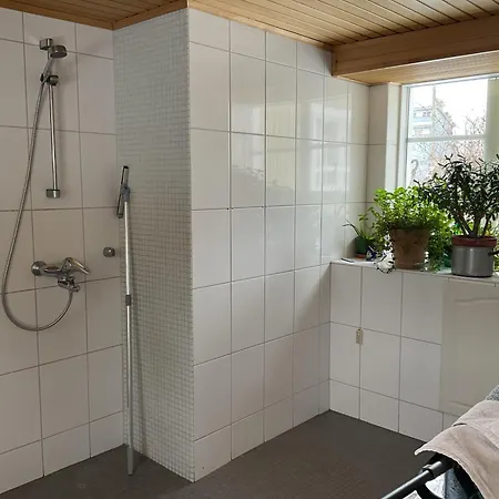 Perinteinen * Vesivehmaa