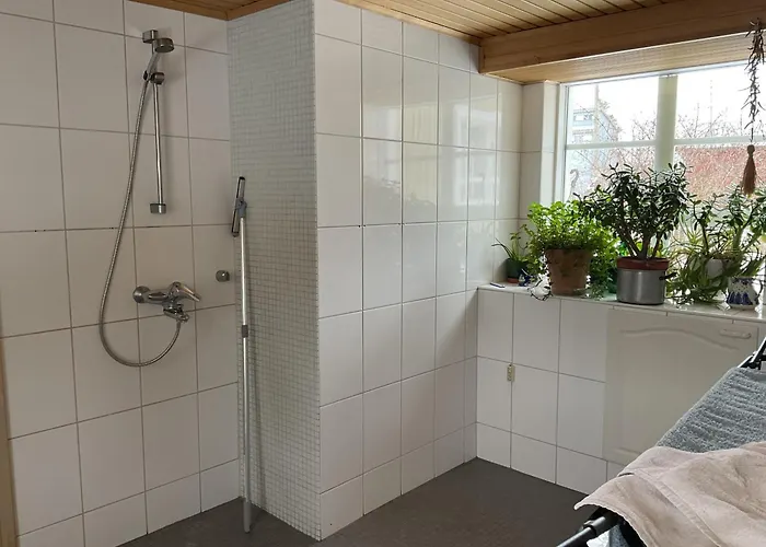 Perinteinen * Vesivehmaa